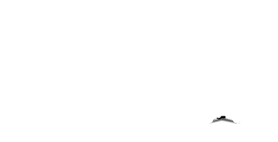 Feira de Audição